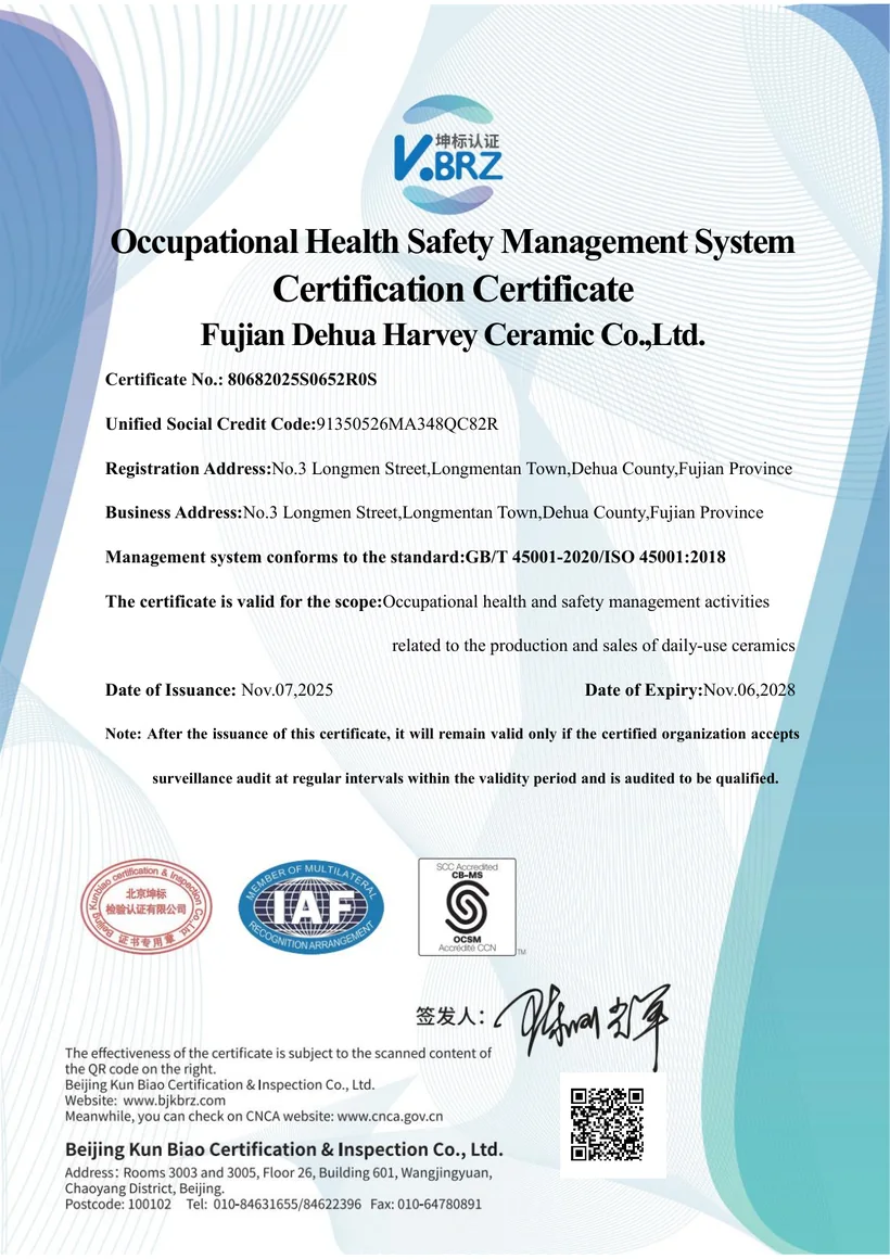 ISO 45001 occupational health and safety certificate preview
